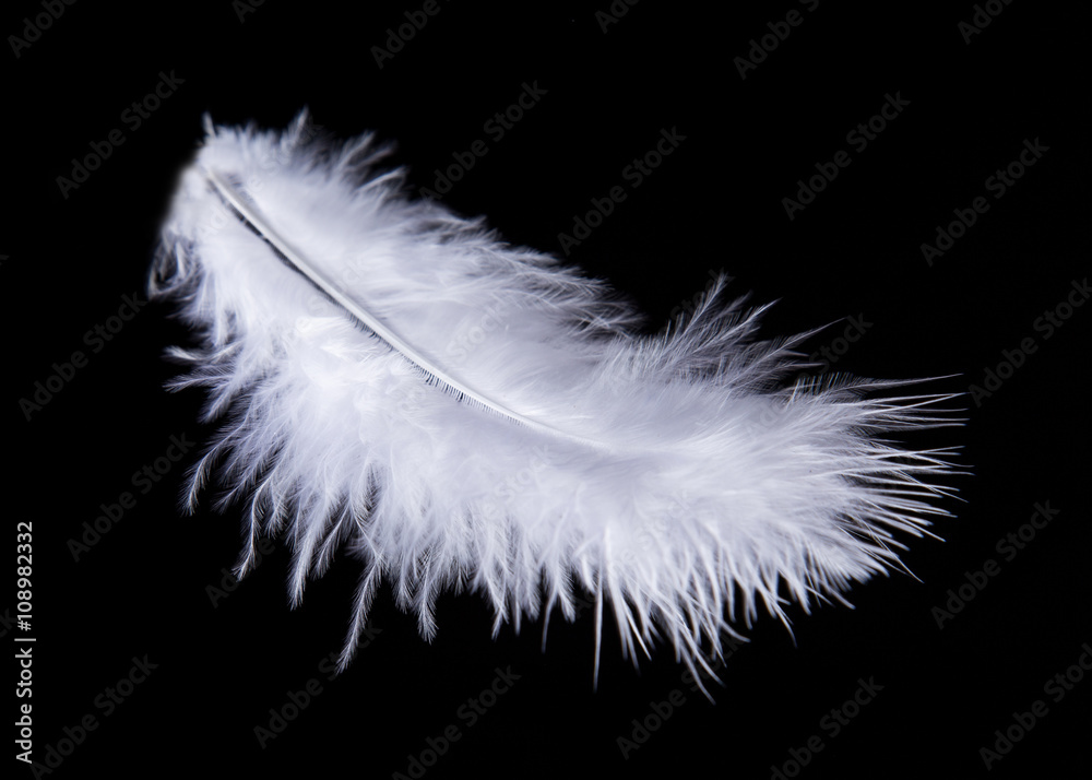 Colored Feather isolated on black background Colored Feather isolated on black background