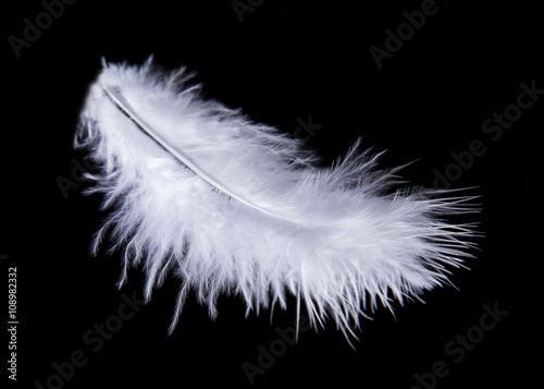 Colored Feather isolated on black background