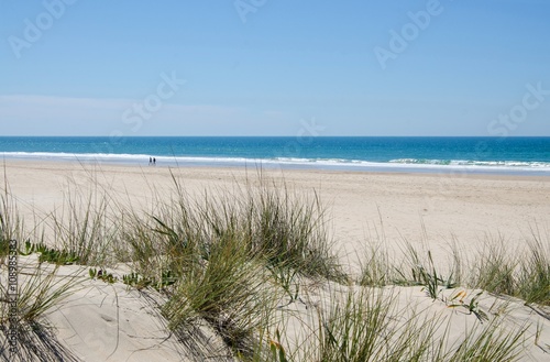 Stranddünen an der Costa de la Luz, Andalusien