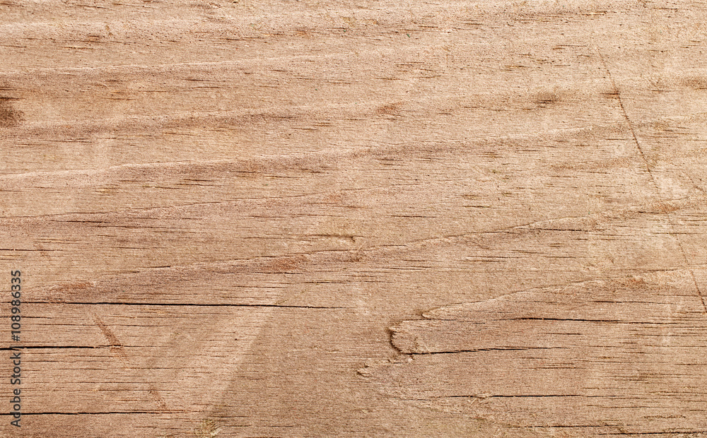 Obraz premium natural wood texture closeup