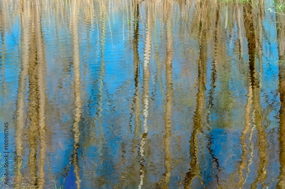 Naklejka premium Photography blur tree reflection on water. Natural background.