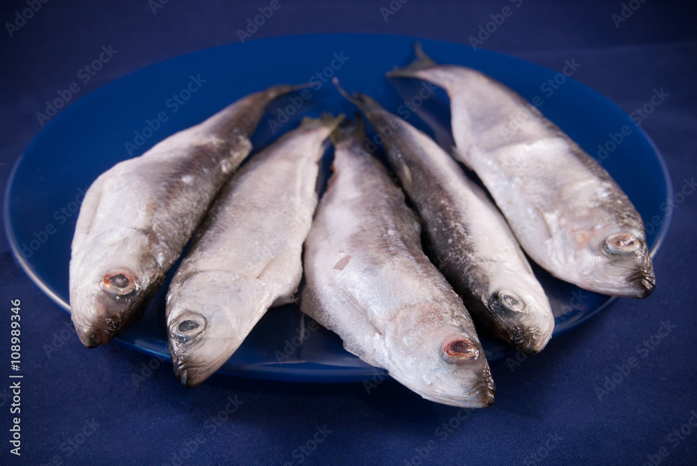 Five sprats on the dark blue plate Five sprats on the dark blue plate
