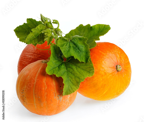 yellow pumpkins vegetables with green leaves isolated