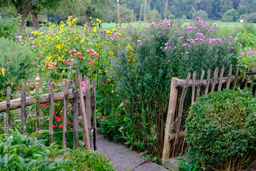 romantischer Blick auf einen sommerlichen Bauerngarten mit offener Gartentür und Holzzaun und blühenden Astern, Rosen und Sonnenhut photo