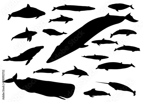 Walarten - Silhouetten