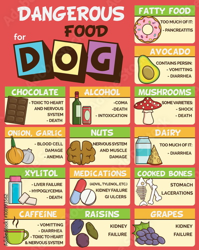 Dangerous food for dogs