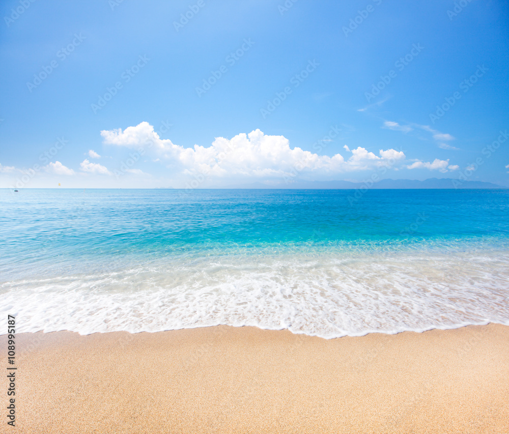 beach and tropical sea