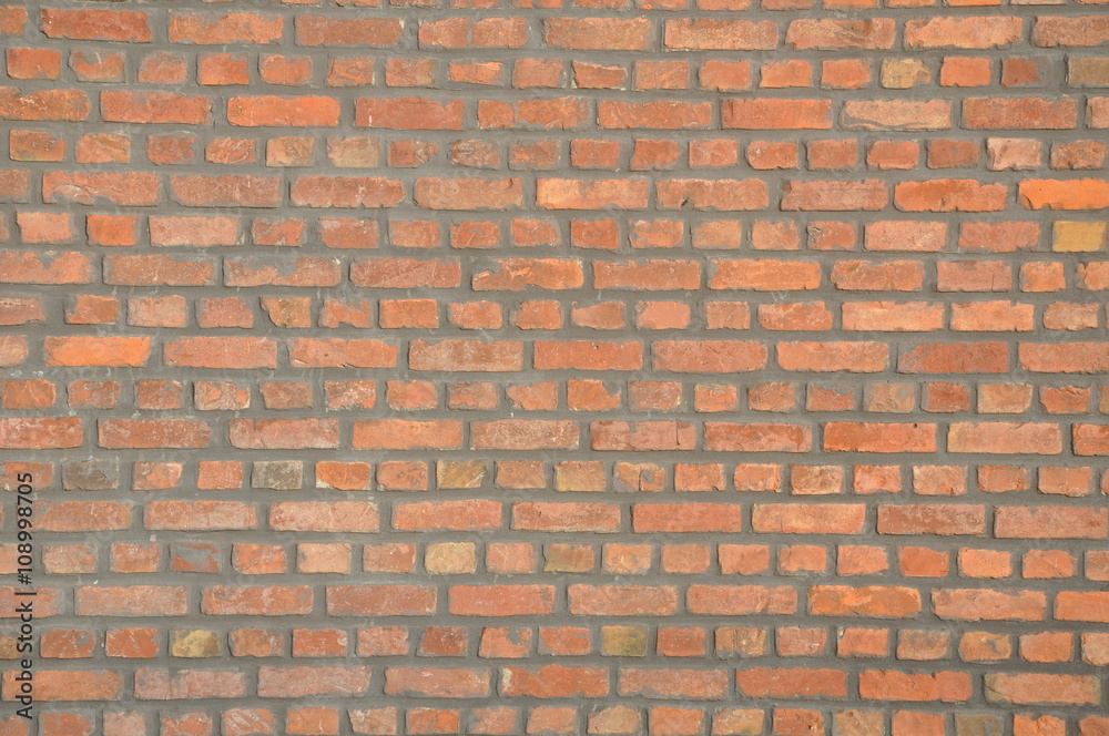 Fototapeta premium Wall