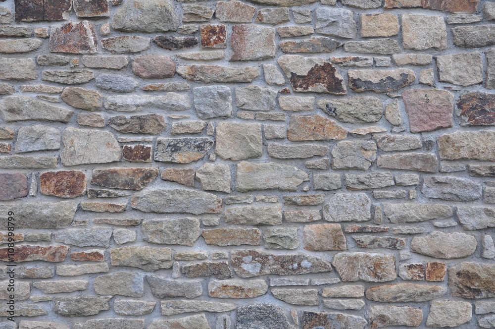 Fototapeta premium Wall