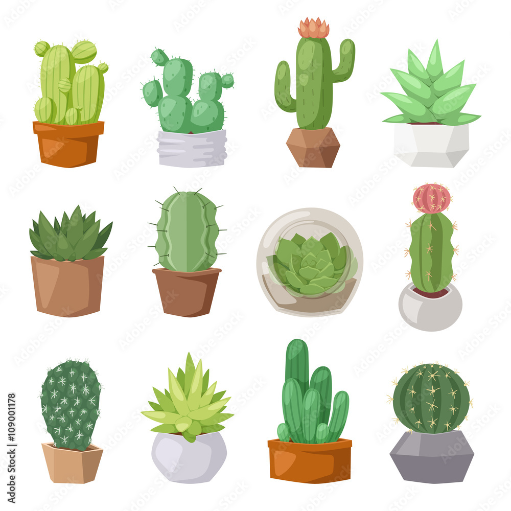 Cute cartoon cactus collection flat nature vector illustration. Cute cartoon cactus collection flat nature vector illustration.