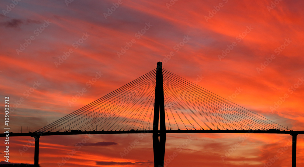 Silhouette of Arthur Ravenel Jr. Bridge at sunset Silhouette of Arthur Ravenel Jr. Bridge at sunset