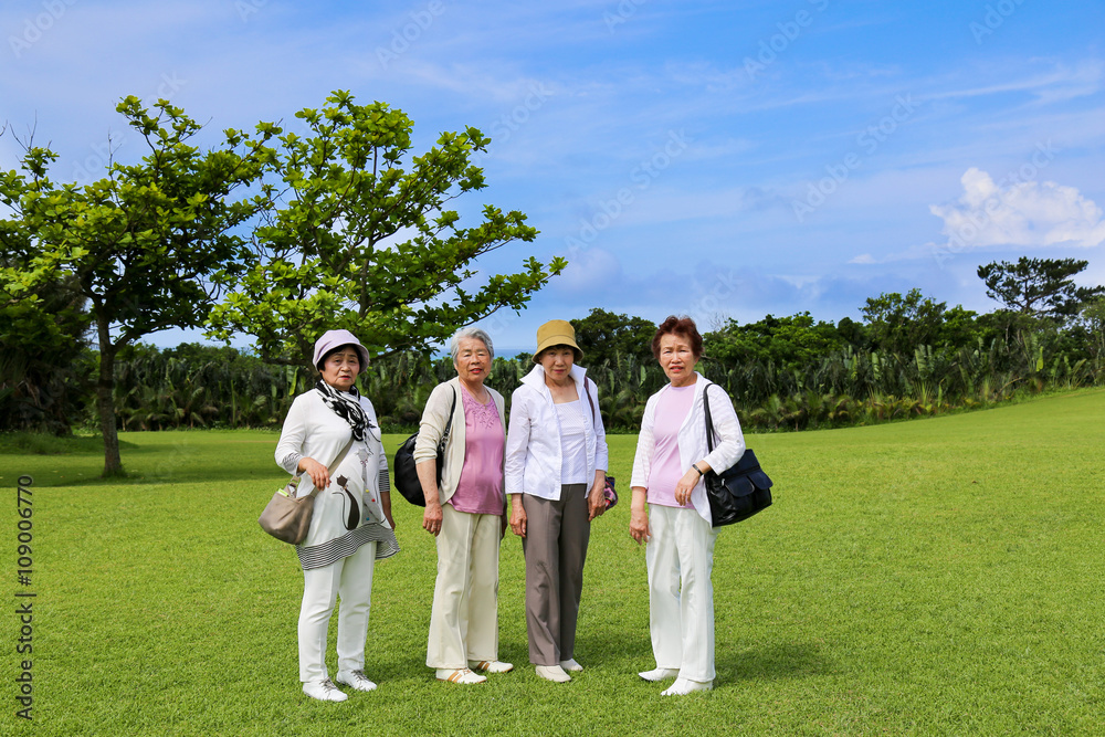 Obraz premium 緑の芝生の上に立っている高齢者女性