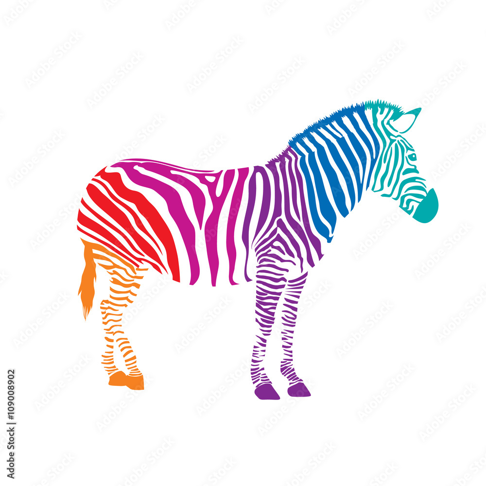 Fototapeta premium Colorful Zebra, illustration isolated on white background