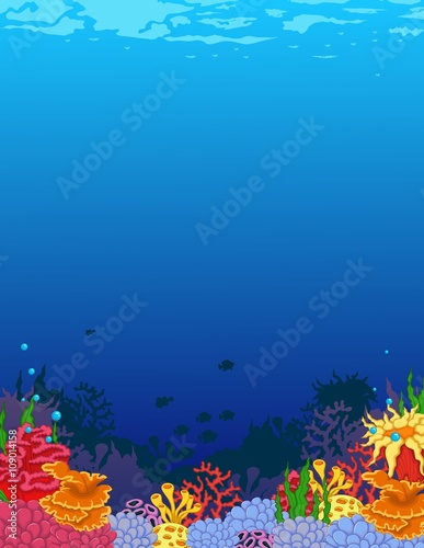 beauty coral and underwater background