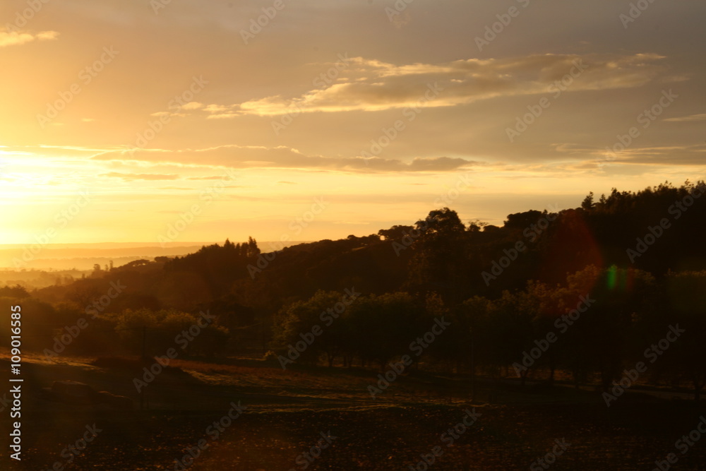 Fototapeta premium Portugal-Horizonte