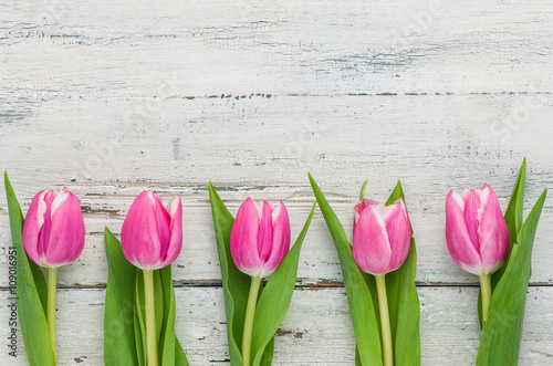 Fototapeta Naklejka Na Ścianę i Meble -   Rosa Tulpen auf weißem Holzhintergrund mit Textfreiraum