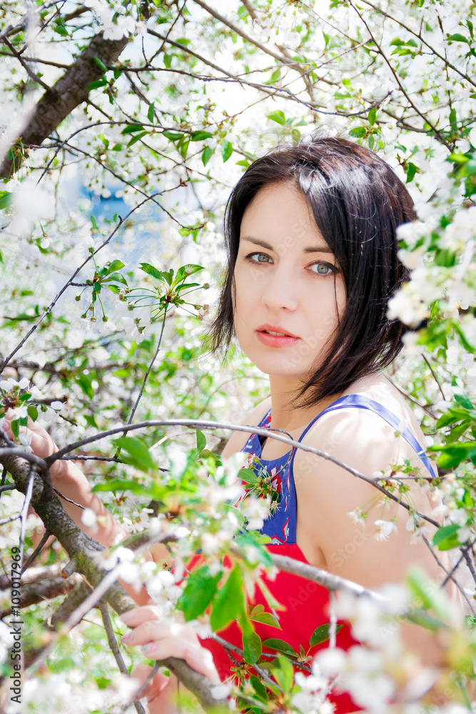 Beautiful woman among blossoming cherry tree. girl among the blooming trees Beautiful woman among blossoming cherry tree. girl among the blooming trees