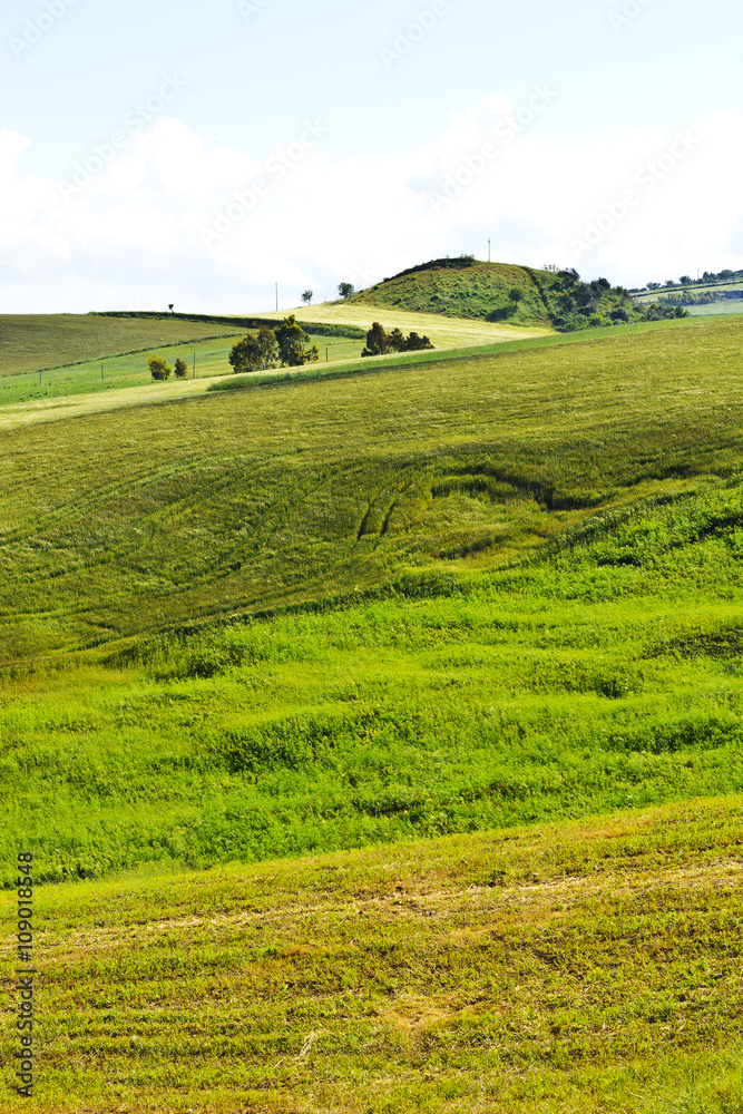 Obraz premium Hills in Sicily