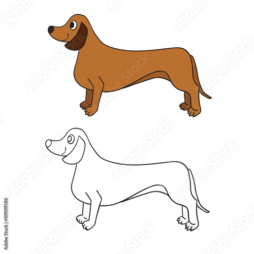 Cute cartoon dachshund isolated on white background