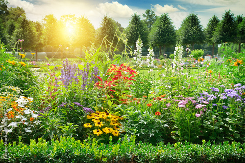 Fotografie Multicolored flowerbed in park.