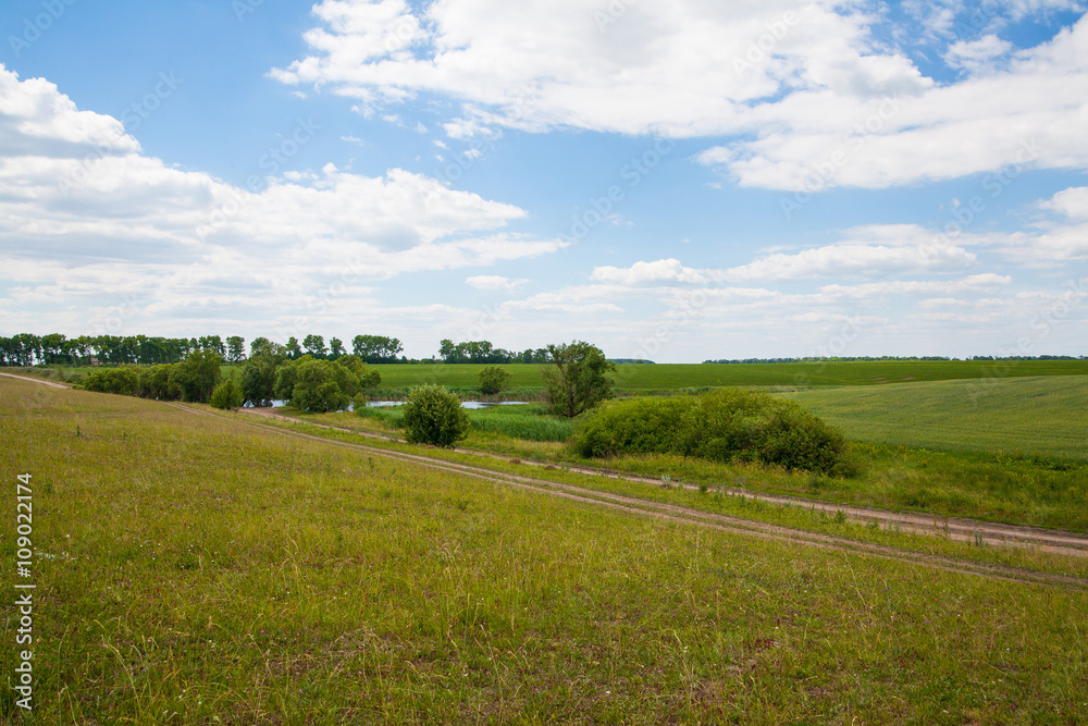 Rural landscape