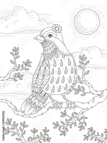adult coloring page with lovely lady bird