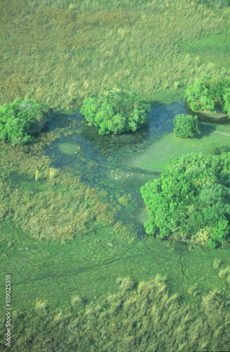 Luftaufnahme von den Okavango-Sümpfen inmitten der Kalahari.