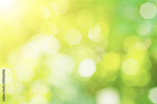 Sunny abstract green nature blurred background, eco spring concept