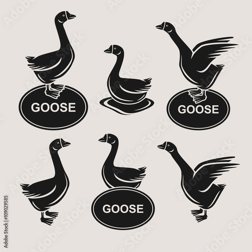 goose set. Vector photo