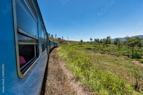 Train among tea plantations in the highlands of Sri Lanka