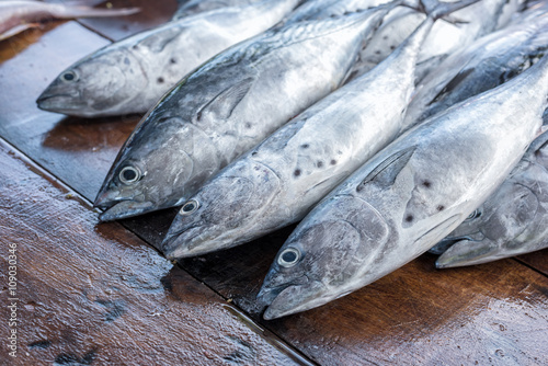 Photography fresh tuna
