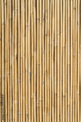 Fototapeta Naklejka Na Ścianę i Meble -  bamboo fence