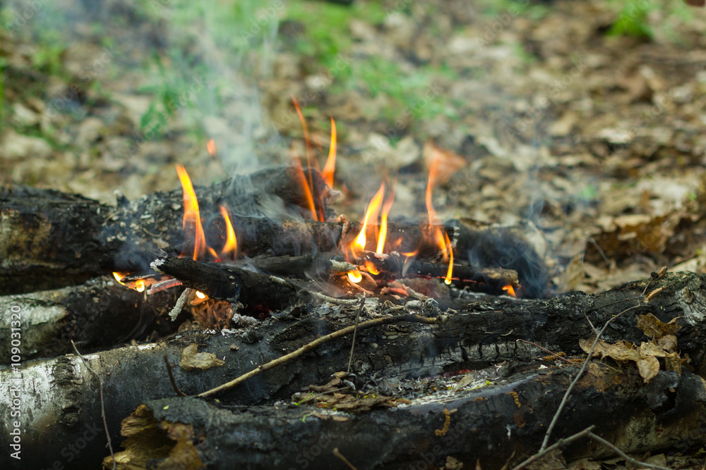 beautiful flame the fire of birch logs beautiful flame the fire of birch logs