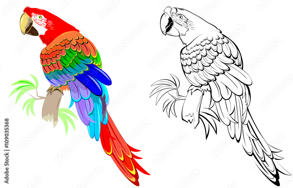 Naklejka premium Colorful and black and white pattern parrot, vector cartoon image.