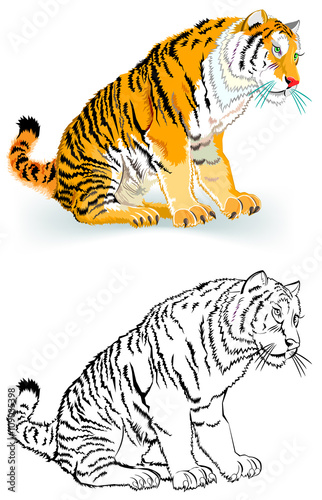 Fototapeta Naklejka Na Ścianę i Meble -  Colorful black and white pattern of tiger, vector cartoon image.