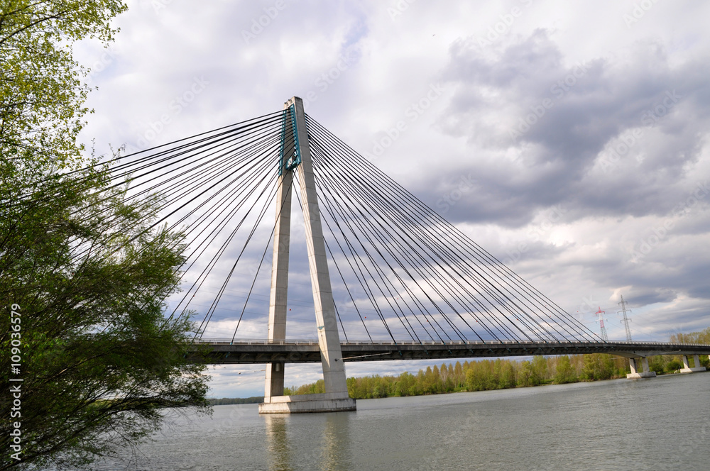 Obraz premium Rose bridge Tulln