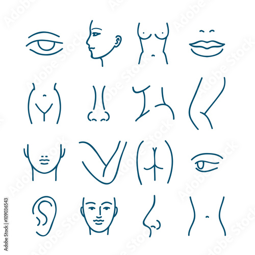 Human body parts vector line icons for plastic or cosmetic surgery