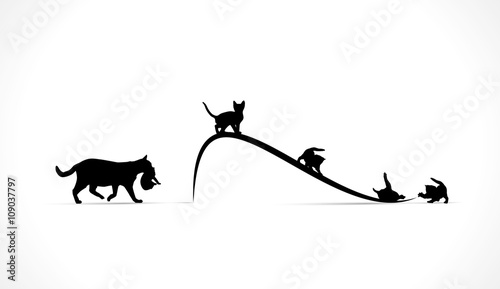 Chatons qui jouent sur courbe