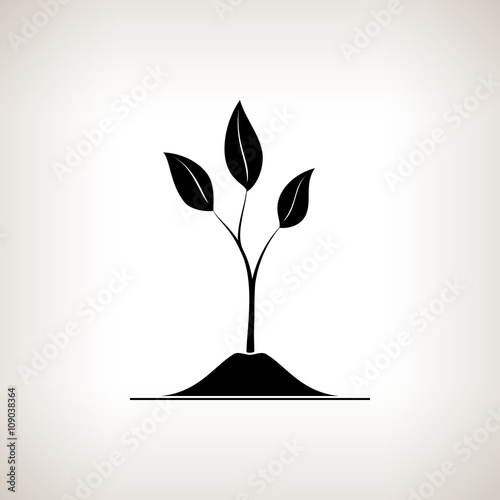 Sprout , a Young Shoot on a Light  Background , Plant Shoot Growing Up out of the Land, Black and White Vector Illustration