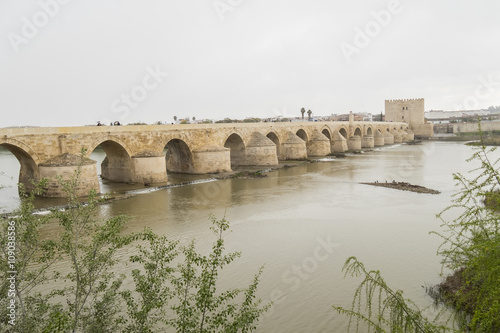 Cordoba Roman bridge over the river Guadalquivir, Spain © max8xam