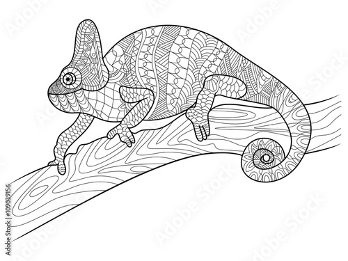 Chameleon animal coloring book for adults vector