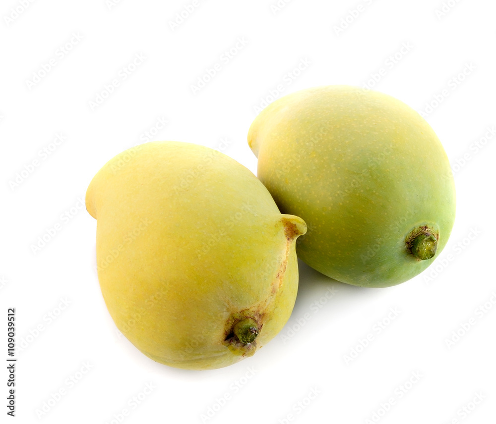 Mangoes on white background