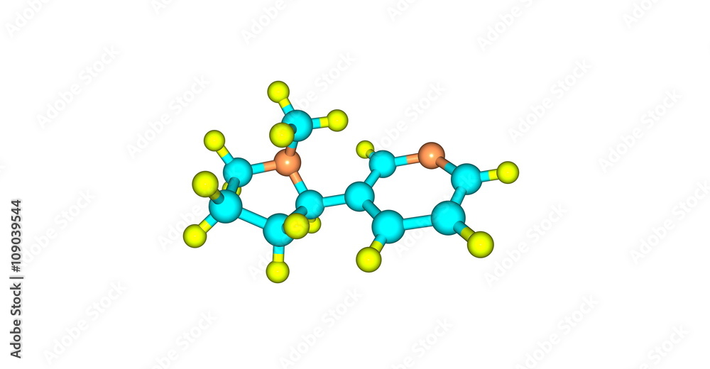 3D illustration of nicotine molecular structure isolated on white 3D illustration of nicotine molecular structure isolated on white