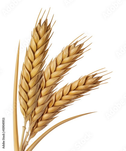 Wheat Bundle