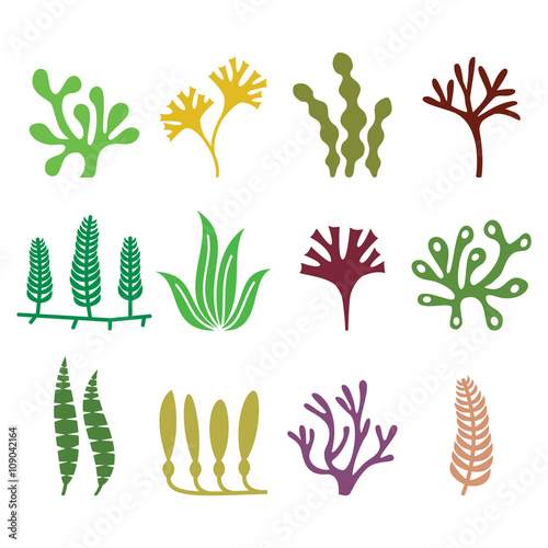 Seaweed icons set - nature, food trends concept 