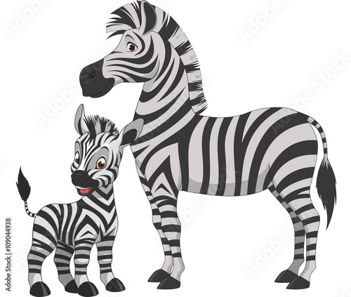 Adult zebra with cub