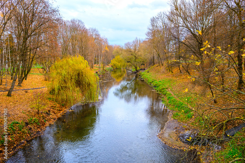 small river in autumn forest