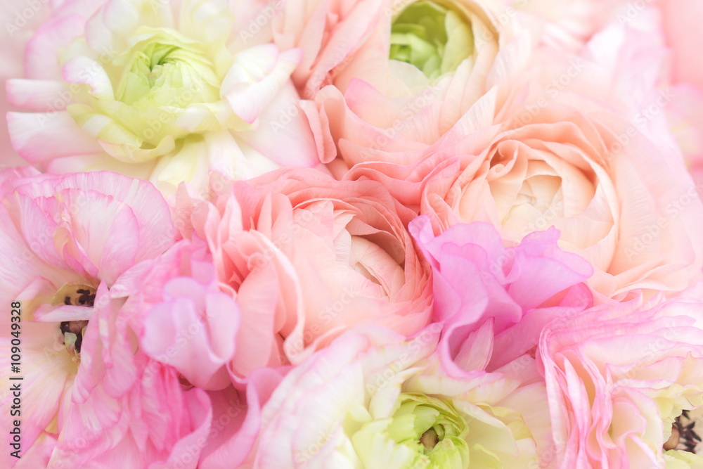 Fototapeta premium ラナンキュラスの花束