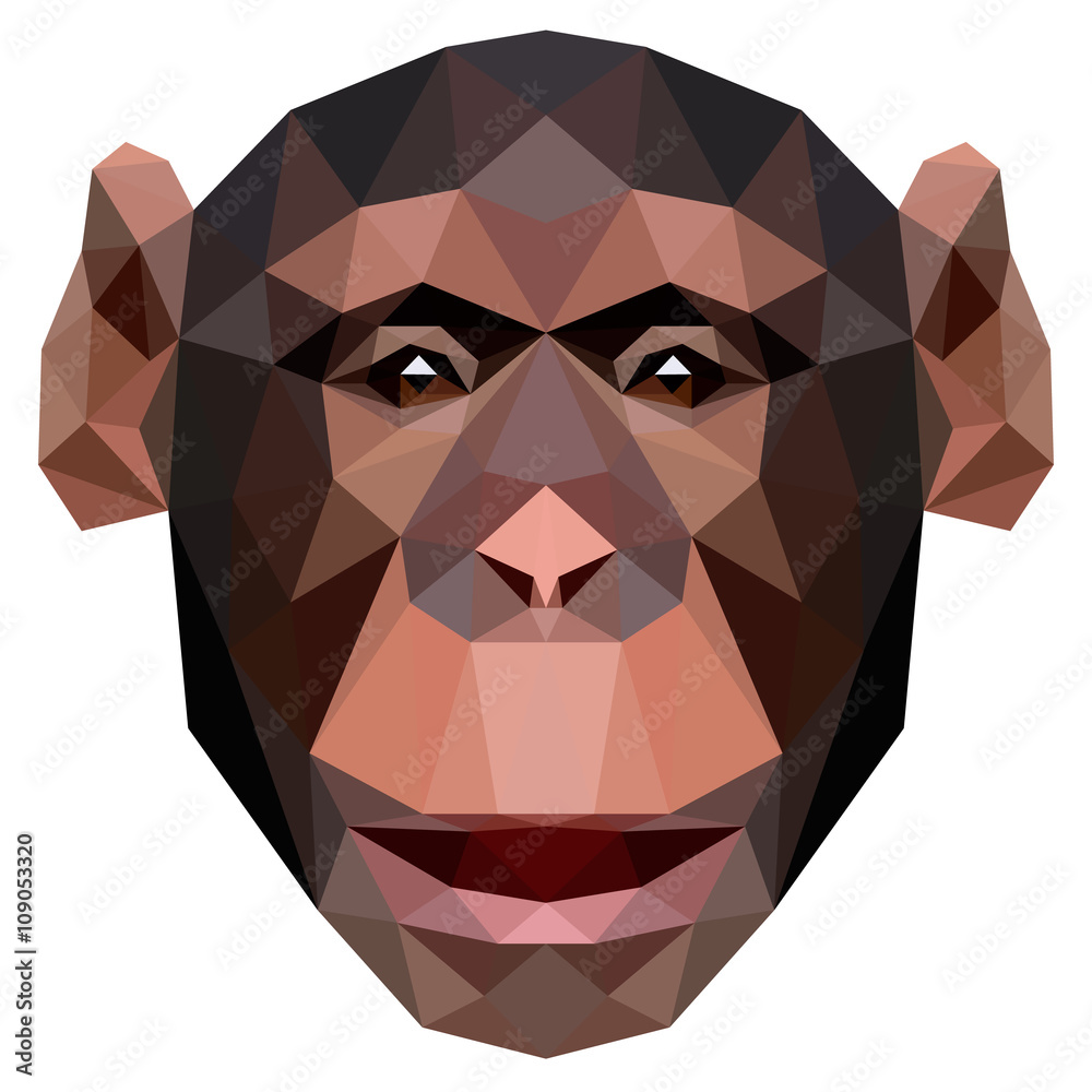 Fototapeta premium Polygonal monkey chimpanzee