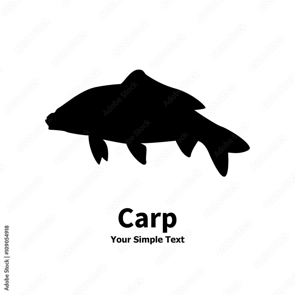 Isolated silhouette of carp fish Isolated silhouette of carp fish